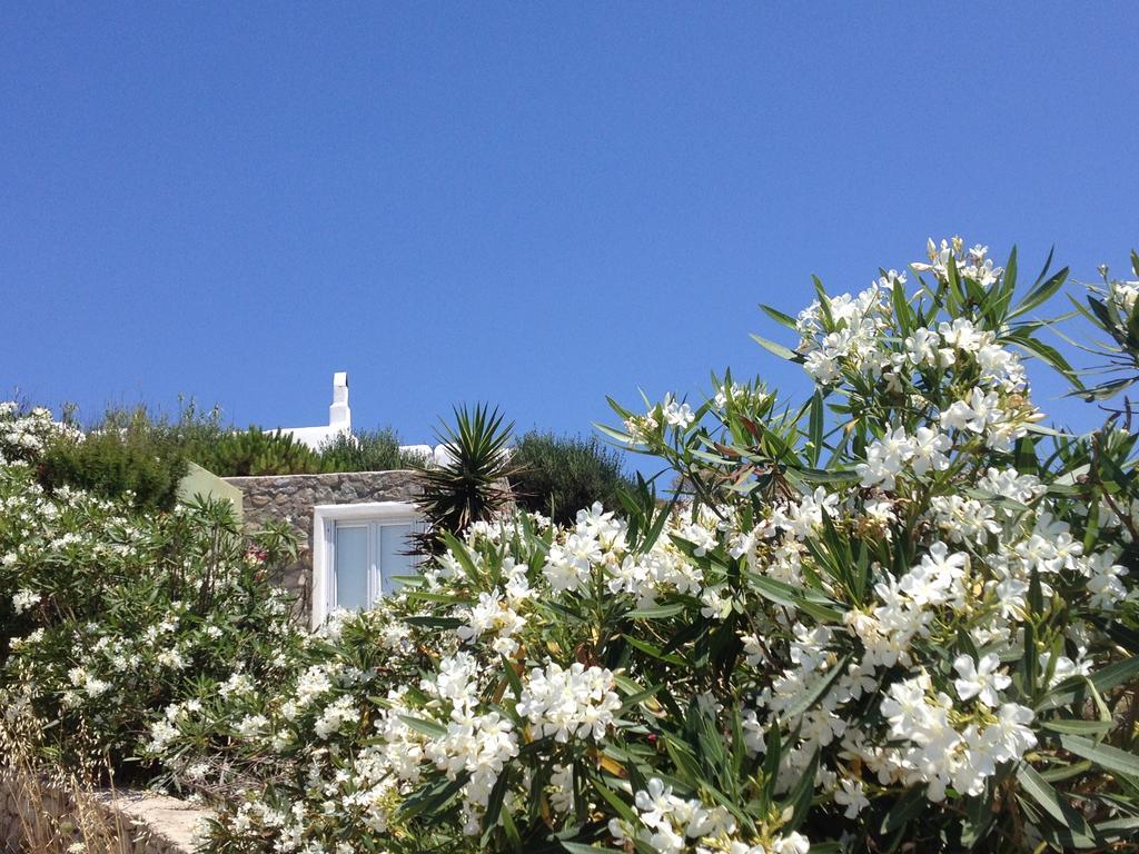 Mykonos Love Nest アノ・メラ 部屋 写真